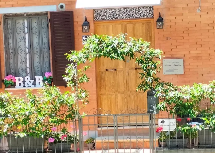 Domus Mariae B&B Assisi